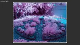 Infrared Full Spectrum Photos, Orleans (episode 16)