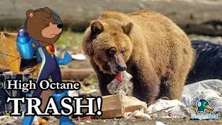Live: High Octane Trash | DeadwingDork Archive