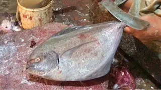 Slicing Black Pomfret Like a Samurai Fish Cutting Skills In Fish Markets | Fish Fillets
