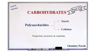 CARBOHYDRATES  Part VI -  Polysaccharide| Starch| Cellulose| B.Sc.| M.Sc.| Chemistry