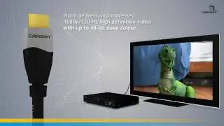 Ivuna High Speed HDMI Cable with Ethernet (1.4, 3D Ready)