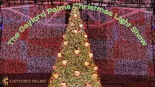 Christmas at Gaylord Palms Light Show (2025-2026) FULL SHOW