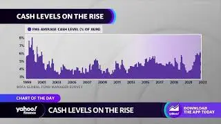 Cash positions rise to highest level in 21 years: BofA fund managers survey