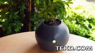 Интеллектуальный уход за растениями с помощью цветочного горшка Biom Smart