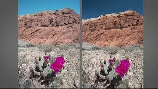 Shooting Under a Mid-Day Sun :  You Keep Shooting with Bryan Peterson: Adorama Photography TV