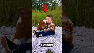This Cow Can Sense the Earth! 🧭🐄