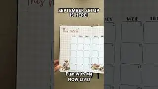 🎥 NOW LIVE! #bujosetup #bulletjournal #planwithme #monthlysetup #journaling