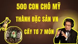 CHUYỆN HÀI THỜI CHIẾN: 500 Chó Mỹ Thành Đặc Sản Việt Nam - Chuyện Đêm Khuya | Nguyễn Ngọc Ngạn
