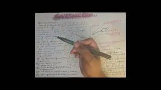 Burning of Magnesium Ribbon | Class 10 Science | CBSE Chemistry Experiment Explained