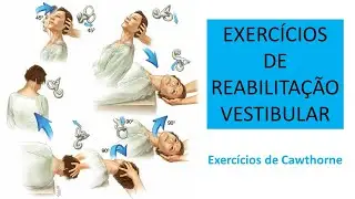 EXERCÍCIOS DE REABILITAÇÃO VESTIBULAR.