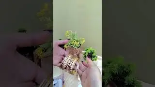 ✨Meesho viral 
