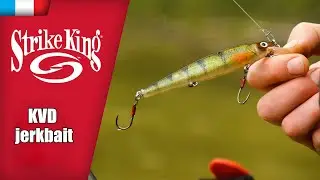 KVD Jerkbait 300