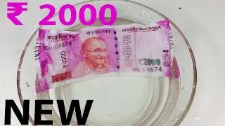 New 2000 RUPEES NOTE Water Test | Is that Waterproof?