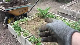 BAD COMPOST Repair   fixing the garden soil