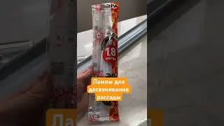 Лампы для досвечивания рассады. Подключение #цветоводство #садоводничество #деревня