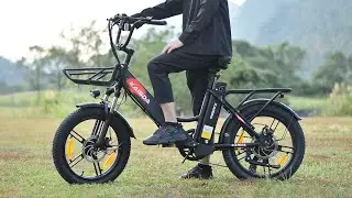 KAISDA K201 Electric Bike 250W Motor 36V 10.4Ah Battery 20 Inch Rubber Tire Electric Bike