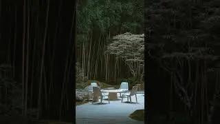 5 Things NOT to Do in a Japanese Garden