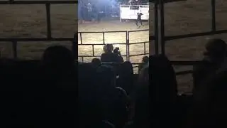 Jaripero en tindu 2023