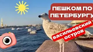 Санкт-Петербург | Прогулка по центру | Дворцовый мост и пицца #санктпетербург #питер 