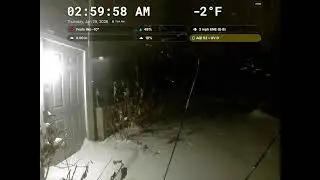 Backyard Live Stream2026-01-28