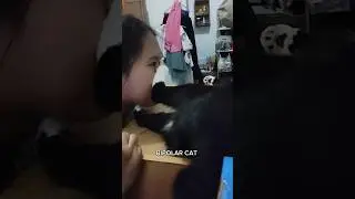 BITTER SWEET RELATIONSHIP | ADEK OJI - @Feylichakh #tranding #funnyvideo ##catshort #cat