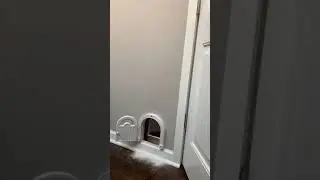 Time lapse of people installing a Purrfect Portal cat door!