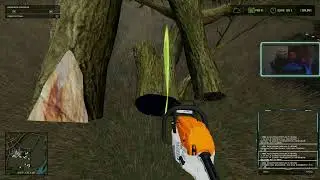 is this thing working?