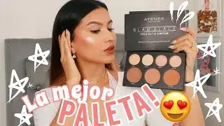 PROBANDO la nueva paleta de contornos de ATENEA!!! - Manuela Giraldo