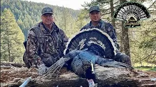 Gobbling and Yelping Clinic - New Mexico Merriam Turkey Hunting