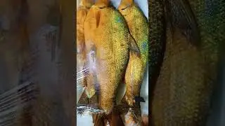 Smoked Milkfish / Tinapang Bangus
