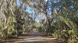 2026 JAN Florida Inverness Withlacoochee Trail Biking4