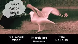 Hoskins Phenomenon: 