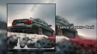 Tzanca Uraganu - Banii ( slowed / reverb )