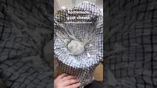 easy goat cheese from scratch