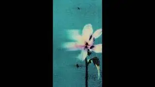 Cleo Sol X SZA X Nick Hakim Type Beat :