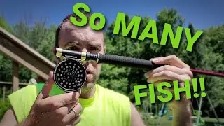 Martin 63 SS and Berkeley Hunter series Fly Rod fly fishing for panfish [Fishingsir flies]