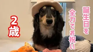 祝2歳　とっても大きく立派に育ちました！