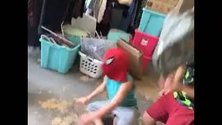 Spider getting eaten by a dinisore