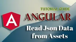 Read Json data from assets in Angular by using Services Part 14