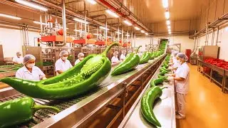 Inside the Giant Chili Processing Factory Hyper-Real Industrial Food Line