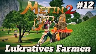Im Tempel liegt HAUFENWEISE Won | Metin2 Ruby #12
