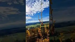 Discover castle Landsee, Burgenland, Austria #discover #austria #burgenland #castle #autumn #fall