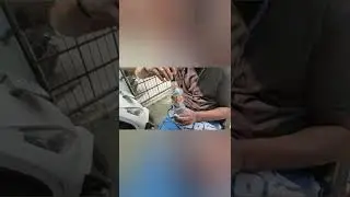How to remove paint spot from your scooty body| Tvs Jupiter