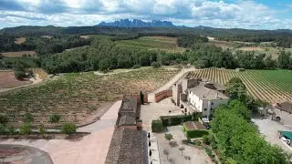 VINUM 2023 - PROGRAMA 4