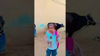 #edit
