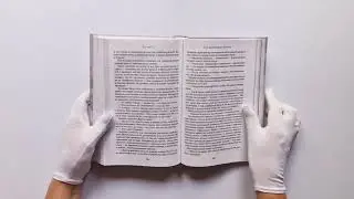 Лионесс. Сад принцессы Сульдрун