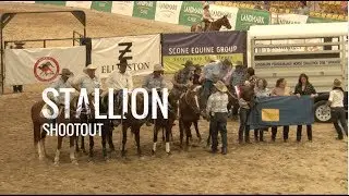 2018 Boehringer Stallion Campdraft Highlights at Landmark Classic
