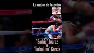 Lo mejor de la pelea 