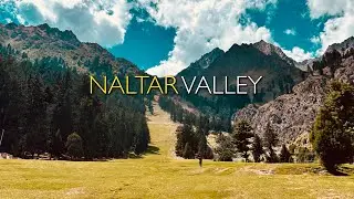 Naltar Valley 4K | Gilgit Baltistan, Pakistan