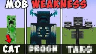 All Minecraft Mobs weakness.